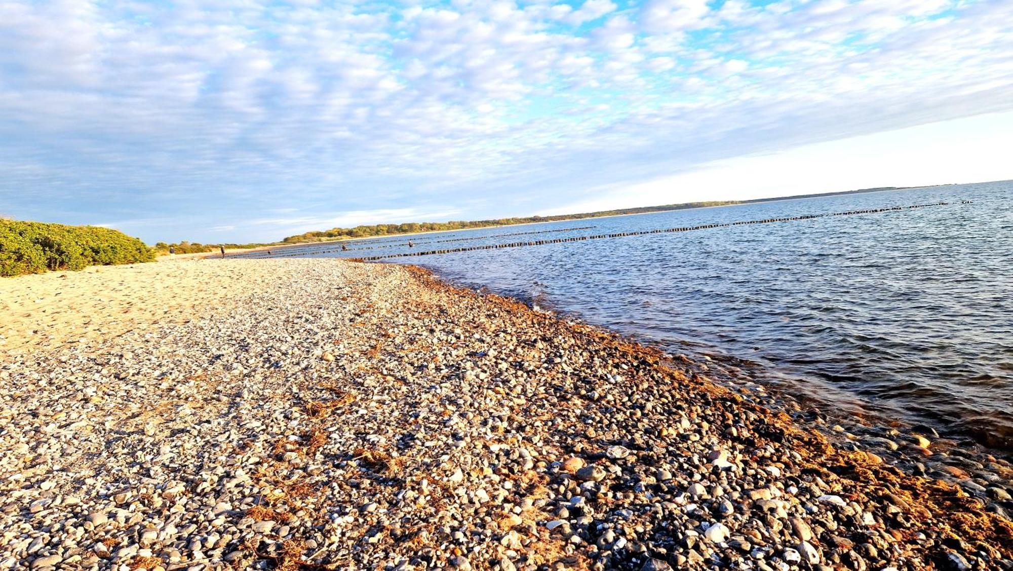 App 8O Grosser Tag Am Meer Mit Wasserblick Dranske Eksteriør bilde