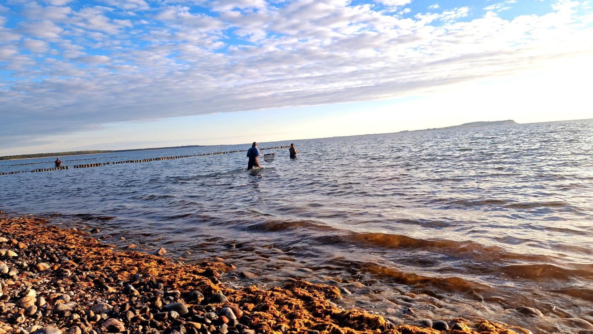 App 8O Grosser Tag Am Meer Mit Wasserblick Dranske Eksteriør bilde